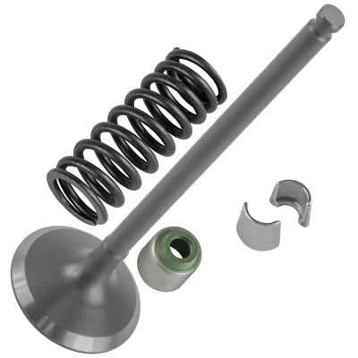 Caltric Intake Valve Kit for Yamaha YZ250F 10-2013/ 5NL-12111-30-00 5NL121113000 — 第 1/4 张图片