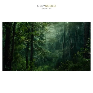 Green Forest in Rain Nature Poster Wall Art Print pick size A4/A3/A2/90x60cm - Bild 1 von 1