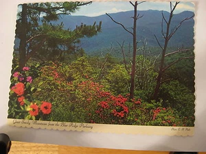 1966 Vintage Great Smoky Mountains National Park Blue Ridge Parkway Post Card - Picture 1 of 2