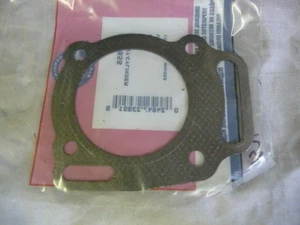New Briggs & Stratton Cylinder Head Gasket # 806085S For Lawn & Garden Equipment - Picture 1 of 2