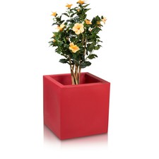 Pflanzkübel 60x60 günstig kaufen eBay