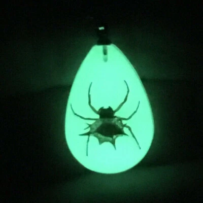 Collar Colgante Araña REAL Respaldo Espinoso Orbweaver Brilla en la Oscuridad Foto 1 de 4