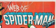 Assorted Web of Spiderman Comics from the 80's & 90's  U Pick / Choose from List