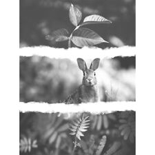 Black White Photography Triptych Rabbit Hare Wall Art Print