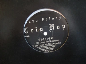Jayo Felony - Crip Hop / She Loves Me Not -12" Vinyl Single 2002 Promo VG+ $1.95 - Imagen 1 de 2