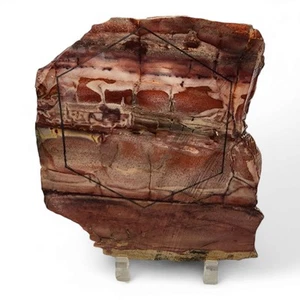 Pink Sunrise Jasper Slab 186.3 grams. - Picture 1 of 2