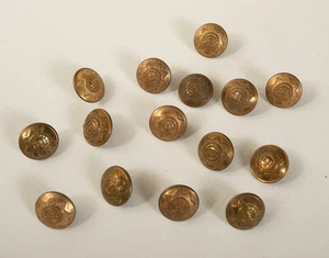 Devonshire Reg't Shank Button Lot (P3L-29/JSF6) 3/4" Pitt & Co JR Gaunt Brass - Picture 1 of 12