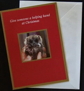 BT Phonecards 10 U. Christmas card for St. Tiggywinkles. Mint in Original Pack. - Picture 1 of 5