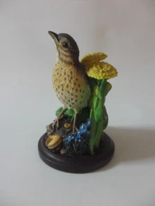 Nuestra hermosa colección de aves musgo águila Andy Pearce estrangular - Imagen 1 de 5