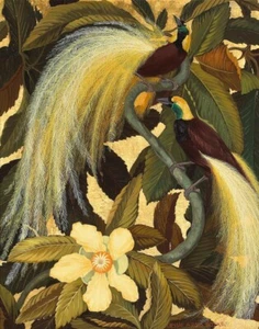 Jessie Arms Botke Birds of Paradise #1 Estampado en lona 16 x 20 - Imagen 1 de 4