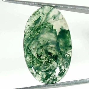 22,60 kt Natürlicher Grüner Moosachat Oval Cabochon Lose Edelstein 19 x 31 x 4 mm - Bild 1 von 5