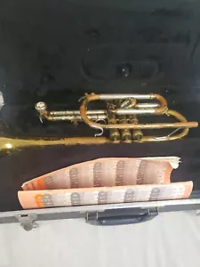 Custodia Bundy vintage Martin Indiana Cornet RMC & Vincent Bach 7C boccaglio - Foto 1 di 24