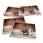 4x Rectangle Stickers - Cute Adorable Pet Rat Animals Rodent #8686