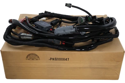 Arnés de cableado principal Harley-Davidson VRSCA/B VROD 70125-05 NUEVO OEM 2005 Foto 1 de 4