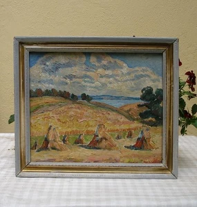 Raccolta dal fiordo. Olio post-impressionista danese. Anni 40 circa. - Foto 1 di 5