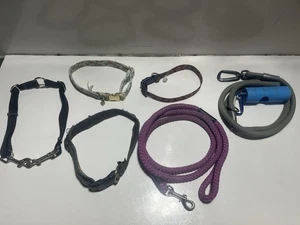 Konvolut Hundehalsbänder und Leinen - Bild 1 von 7