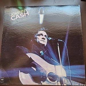 Johnny Cash - I Would Like To See You Again LP Columbia Records KC-35313 VG - Picture 1 of 4
