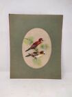 Vintage Hand Painted Old Fabric Painting Of Sparrows On Branch Cardboard Framed