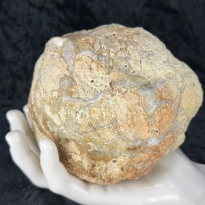 5” Uncut Large Geode Quartz Crystal Unopened Slight Rattler - Picture 1 of 13