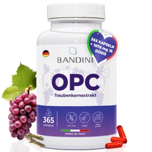 Bandini® OPC Traubenkernextrakt 365 Kapseln | 95% reines OPC je Kapsel - Bild 1 von 7