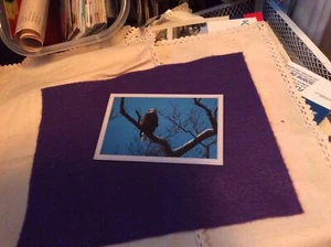 Postcard The Eagle Has Landed Photo By Dwayne Lobdell From Deposit NY - Picture 1 of 2