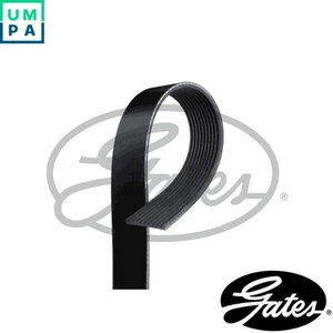 VRIBBED BELT 10PK2000HD FOR SCANIA RIPI DC16.101/102 16.4L DC16.18/05/17 15.6L - Picture 1 of 7