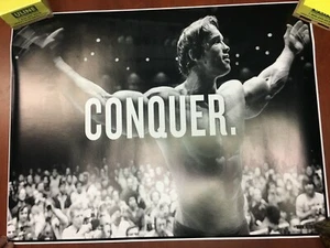 Arnold Schwarzenegger "CONQUER" POSTER 24x36 Bodybuilding - Picture 1 of 2