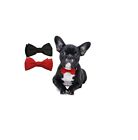 Fashion Pet Bow Tie Red Perfect For Everyday Fun M/Lg