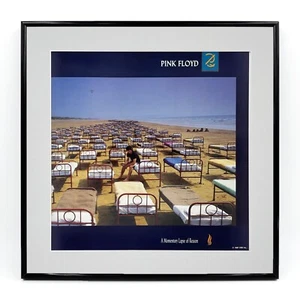 PINK FLOYD A Momentary Lapse Of Reason (Framed 1987 U.S. "In-Store" Promo Flat) - Picture 1 of 4