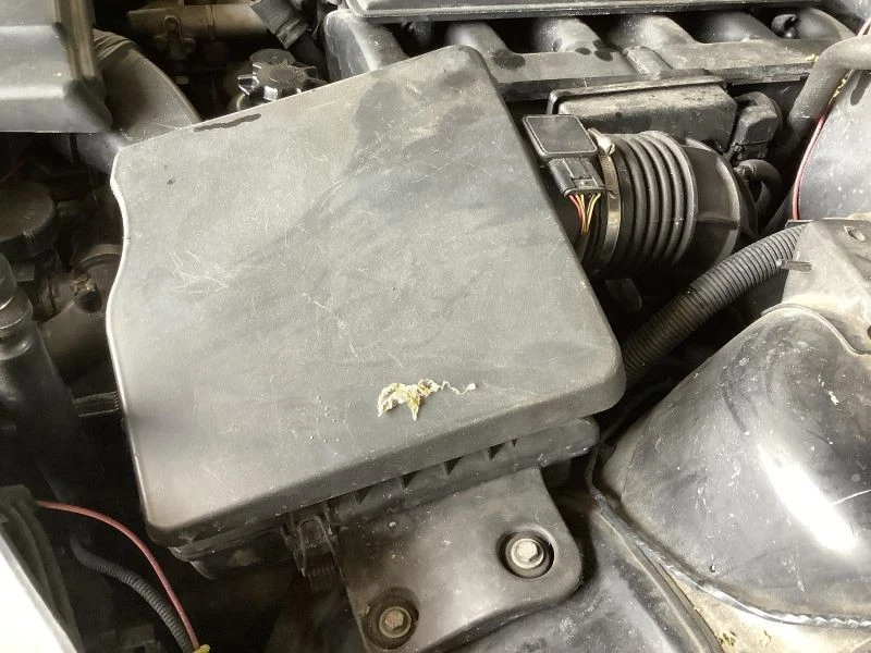 Воздухоочиститель с откидным верхом Thru 9/05 подходит для 01–06 BMW 330i 318834 - Изображение 1 из 4