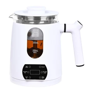 Electric Hot Tea Maker,Automatic Tea Kettle Pot with Tea Infuser,Electric Ket... - Foto 1 di 8