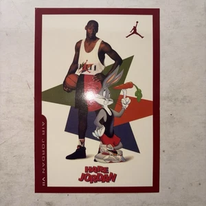 Vintage Jordan 7 Schuhkarton Insert Card - Bild 1 von 2