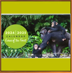 JANE GOODALL Calendar 2024-2025 BEAUTIFUL monkey cute chimpanzee nature - Picture 1 of 2