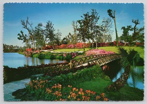 Cartolina Mobile Alabama Bellingrath Giardini Ponte della Luna Continentale 4x6 - Foto 1 di 2