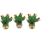Jar Cachepot With Plant Shovel of Prickly Pear IN Ceramic Caltagirone - H
