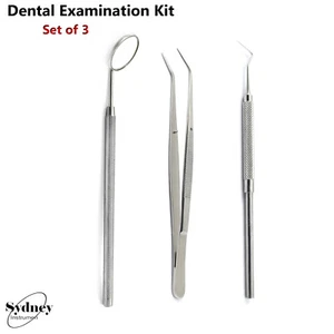 Tooth Scraper Mirror Scalers Teeth Tartar Calculus Plaque Remover Dental Kit - Picture 1 of 4