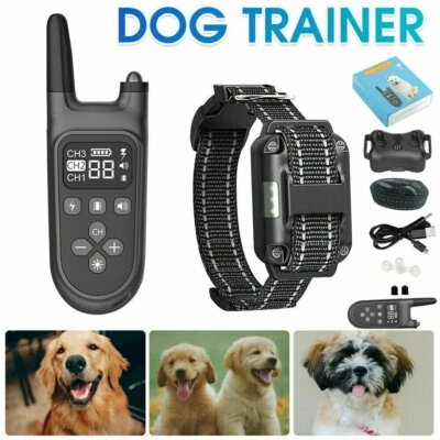 MARKENLOS Ferntrainer Erziehungshalsband Hunde Vibration / Ton Funktion bis 800M 4 Modi DE