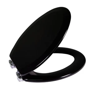 Design House 560235 Dalton Elongated Toilet Seat - Black - Picture 1 of 9