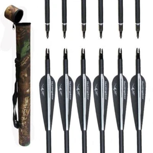 Archery 12Pcs 31'' Carbon Arrows Hunting Target Recurve Compound Arrow Quiver - Picture 1 of 17