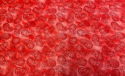 WILMINGTON-SAVOR THE GNOMES #3023-39723-333-RED PAISLEY BY SUSAN WINGET- BTY - Image 1 of 2