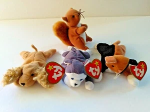 4 (VIER) TY 1993 Sammlung Teenie Beanie Babys Chip, Nook, Spunky und Nuts - Bild 1 von 5