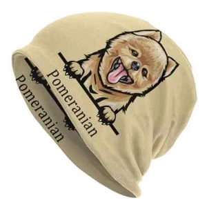 Pommerscher Hund warme Beanie Mütze Besitzer Geschenk braun Totenkopf Mütze Tuque Skullyn Winter - Bild 1 von 5