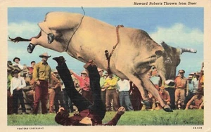 Howard Roberts Thrown From Steer Rodeo Vintage Unposted PC - Picture 1 of 2