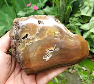 391 GR NATURAL AMBER PARTY POLISHED YELLOWIS BROWN INDONESIA - Picture 1 of 11