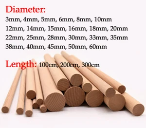 Varilla de espiga de madera de haya 3-60 mm de diámetro 100/200/300 mm de longitud varilla lisa clavija de madera - Imagen 1 de 33