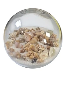 Blown Glass Seashell In Sand Paperweight Orb Coastal Desk Decor 4" - Picture 1 of 4