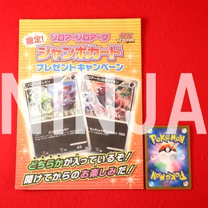 {Versiegelt!!} Pokemon Jumbo Karte Zorua Zoroark Random Pack Promo Japanisch #3549 - Bild 1 von 10