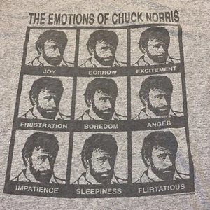 The Emotions Of Chuck Norris Gray T Shirt Size Medium 2008 - Picture 1 of 15