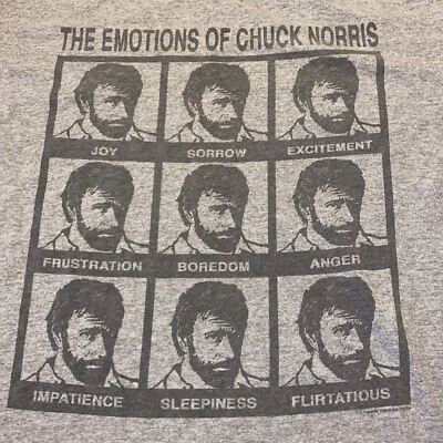 The Emotions Of Chuck Norris Gray T Shirt Size Medium 2008 - Image 1 of 4