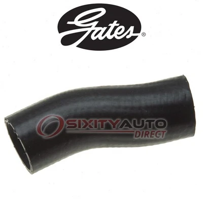 Gates Lower Radiator Coolant Hose for 1949 Ford Ford 3.9L V8 - Antifreeze xt Foto 1 de 4